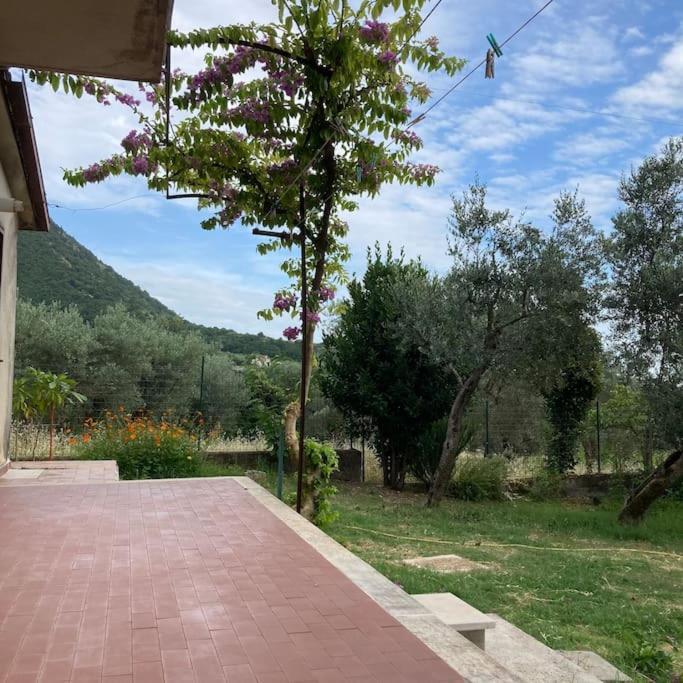 Casa Sisu-Appartamento Immerso Negli Ulivi Sant'Elia Fiumerapido Exterior photo