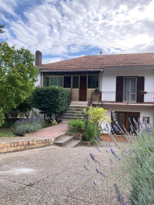 Casa Sisu-Appartamento Immerso Negli Ulivi Sant'Elia Fiumerapido Exterior photo